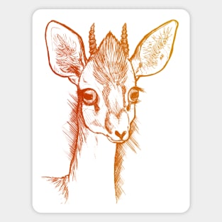 Dik-Dik  Red/Gold Magnet